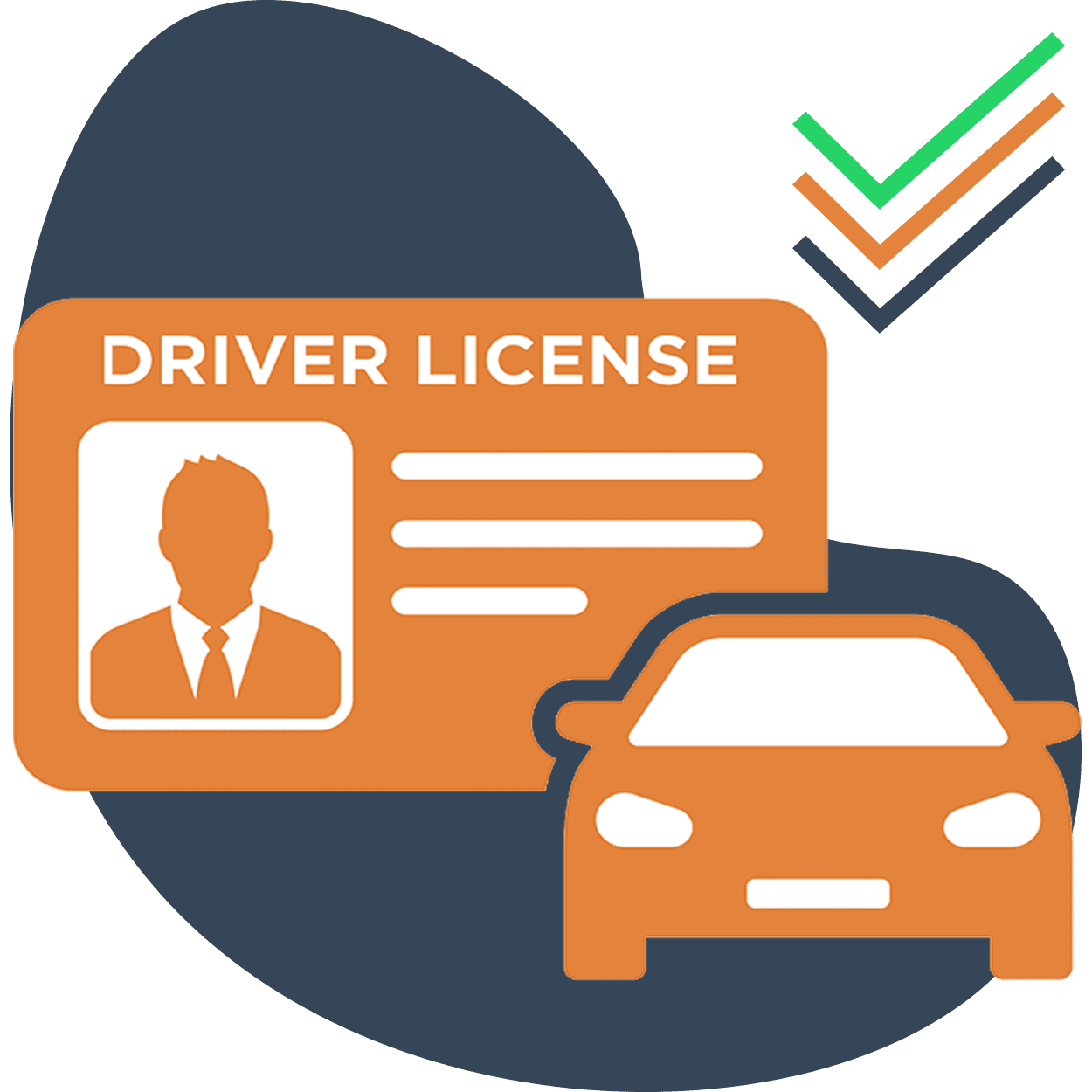 Ongoing Licence Checks